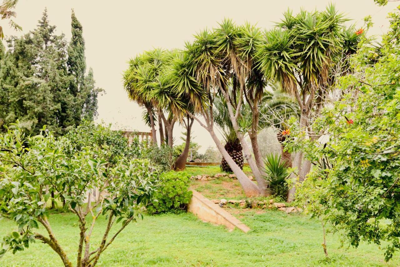 Finca Randa, Llucmayor, Bis 3 Sz, Pool, Garten Лукмахор Екстериор снимка