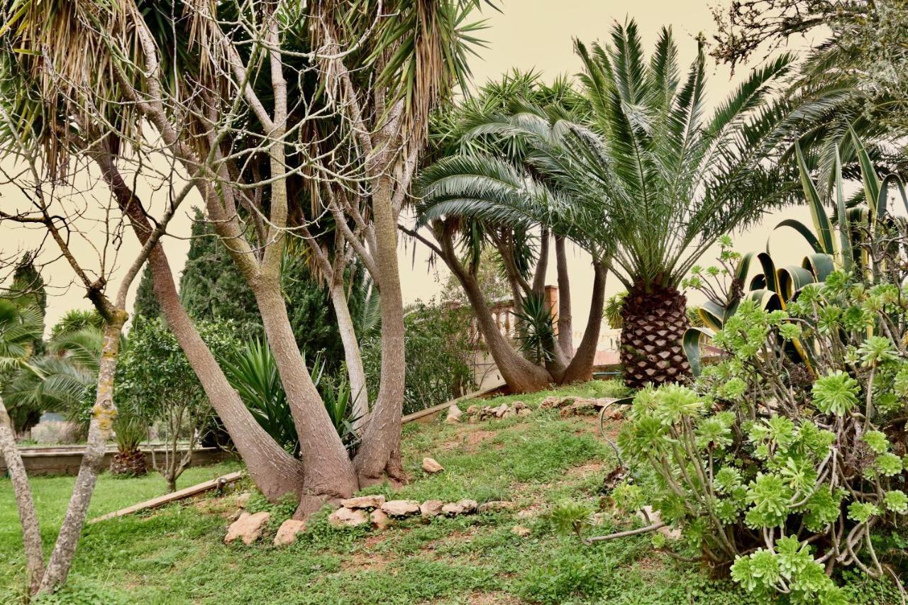 Finca Randa, Llucmayor, Bis 3 Sz, Pool, Garten Лукмахор Екстериор снимка