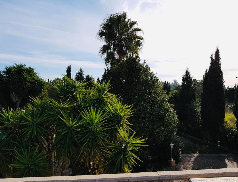 Finca Randa, Llucmayor, Bis 3 Sz, Pool, Garten Лукмахор Екстериор снимка